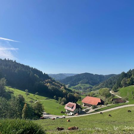 Schwarzwaldmadel Lägenhet Hausach Exteriör bild